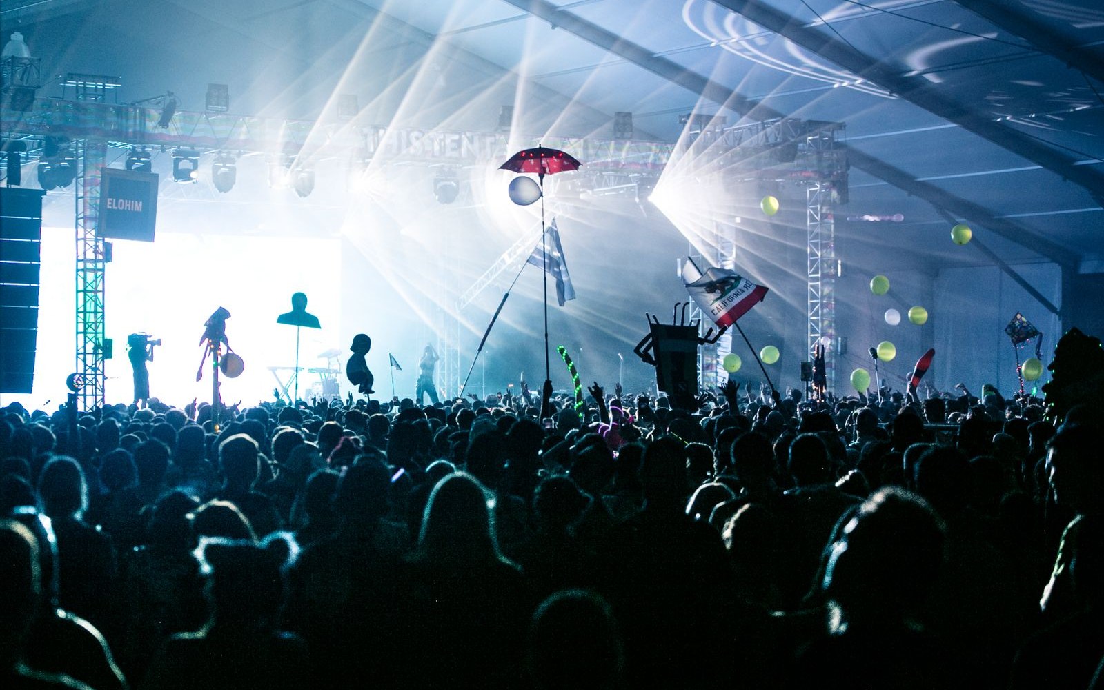 Artist performing live